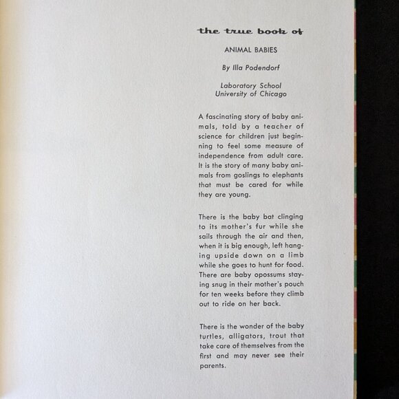 I Want to Know About Animal Babies, Sounds & Moon, Sun & Stars by Illa Podendorf - Picture 2 of 16